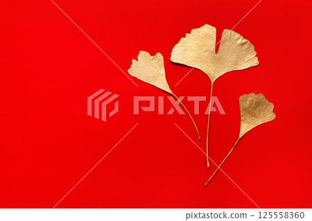 composite image of autumn leaves composite image of autumn leaves 125558360
