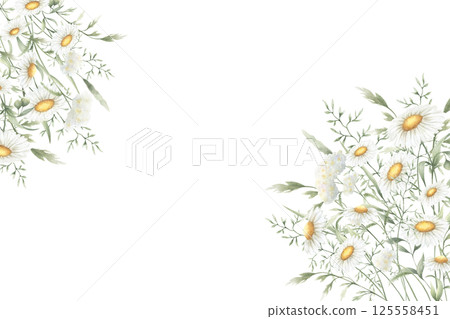 Wildflowers chamomile, yarrow and meadow grasses. Hand drawn isolated watercolor rectangular frame of yellow and white field vintage flowers with copy space for invitations, postcards, wedding design 125558451