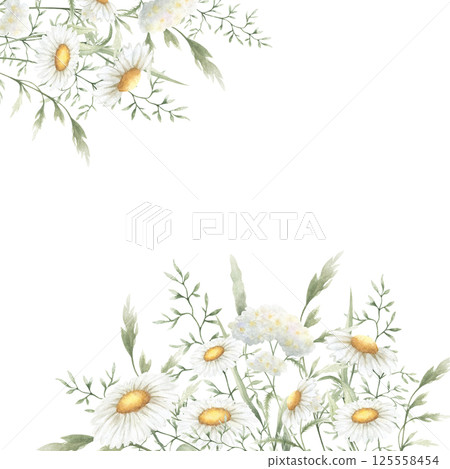 Wildflowers chamomile, yarrow and meadow grasses. Hand drawn isolated watercolor square frame of yellow and white field vintage flowers with copy space for wedding invitations, postcards and cards Wildflowers chamomile, yarrow and meadow grasses. Hand drawn isolated watercolor square frame of yellow and white field vintage flowers with copy space for wedding invitations, postcards and cards 125558454