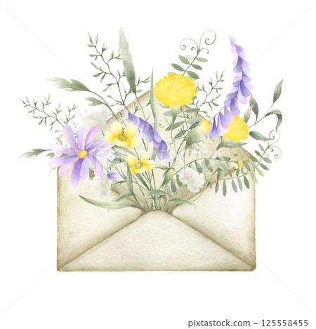 Watercolor wildflowers dandelion, mouse pea, buttercup, yarrow and meadow grasses in old vintage envelope. Field yellow, lilac, white flowers hand drawn isolated illustration for postcards, stickers Watercolor wildflowers dandelion, mouse pea, buttercup, yarrow and meadow grasses in old vintage envelope. Field yellow, lilac, white flowers hand drawn isolated illustration for postcards, stickers 125558455