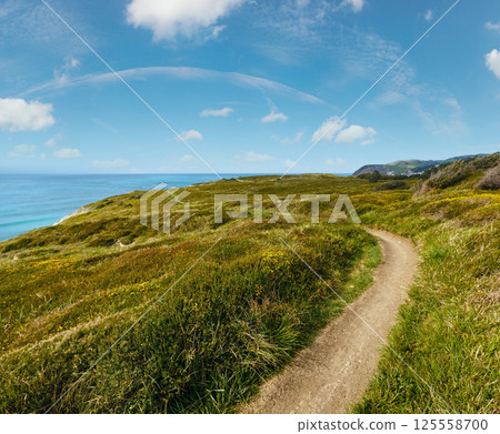 Summer ocean coastline view near Gorliz  town (Spain). 125558700