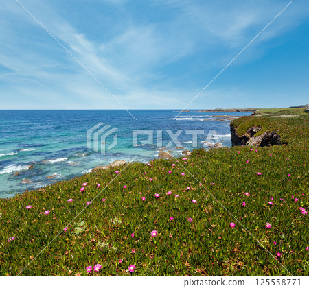 Atlantic blossoming coastline (Spain). 125558771