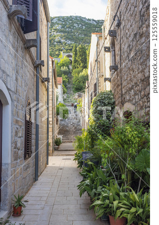 Ston, historic town in Peljesac peninsula in Croatia, Europe. Stone alleyway leading to steps with mountain view. Quaint, peaceful street scene. Historic architecture, lush greenery. 125559018