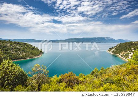 The sea coast of southern Dalmatia in Croatia, Europe. Idyllic scene of turquoise water meeting green coastline under a blue sky with fluffy clouds in a picturesque landscape. 125559047