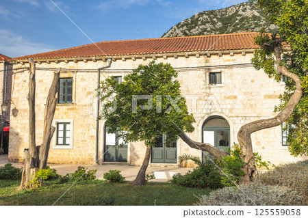 Ston, historic town in Peljesac peninsula in Croatia, Europe. Historic stone building with red tile roof and interesting trees in a scenic coastal setting with hills in the background. 125559058