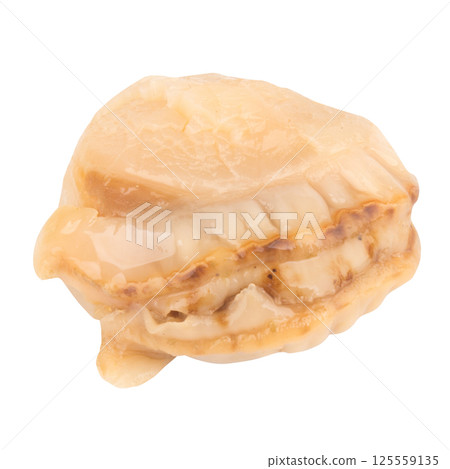Oyster meat isolated on white background 125559135