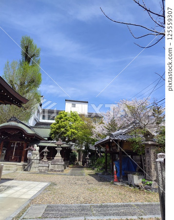東三條神社 東三條神社 125559307
