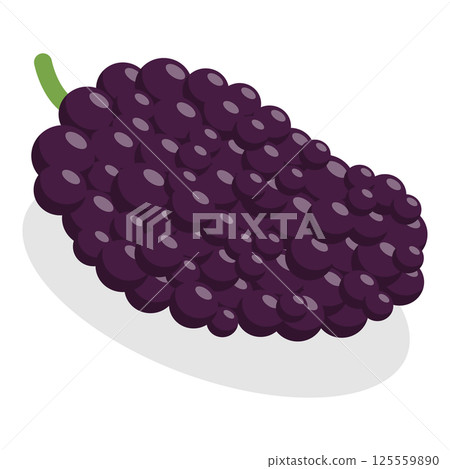 3D Isometric Flat  Set of Berries. Item 4 125559890