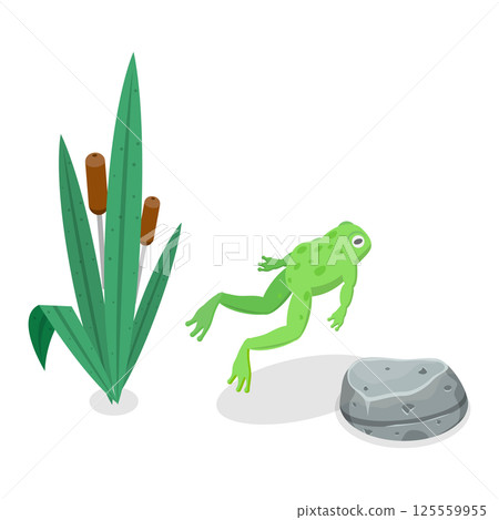 3D Isometric Flat  Set of Cartoon Frogs. Item 2 125559955