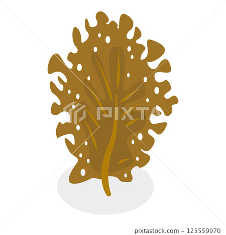 3D Isometric Flat  Set of Seaweeds. Item 2 125559970