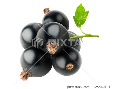 Bunch of black currants isolated on white baclground Bunch of black currants isolated on white baclground 125560191