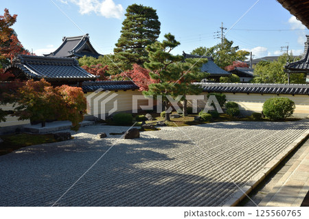 Autumn at Toji-in Temple, Southern Garden of the Hojo (Kita Ward, Kyoto City) 125560765