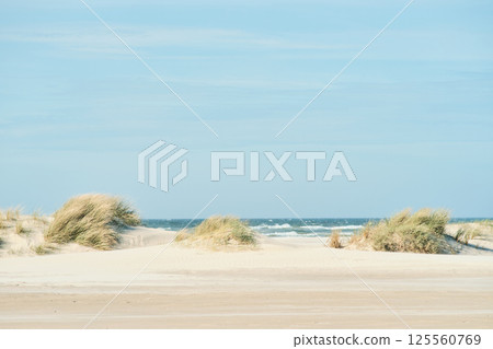 bright sunny dunes at white sand beach bright sunny dunes at white sand beach 125560769