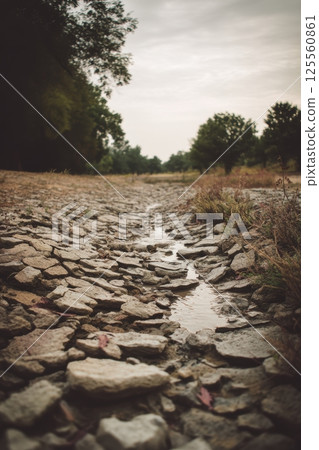 Natural Water Cycle Renewal: Seasonal Rain Rejuvenating a Dry Riverbed 125560861