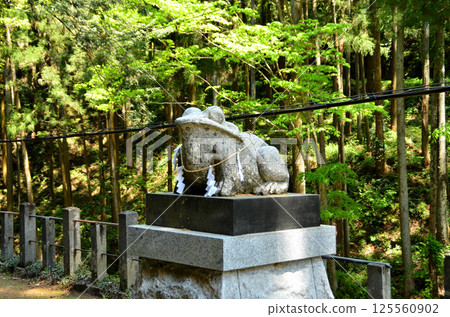 Tomemiya Shrine in Fupu, Yorii Town, Saitama Prefecture Tomemiya Shrine in Fupu, Yorii Town, Saitama Prefecture 125560902