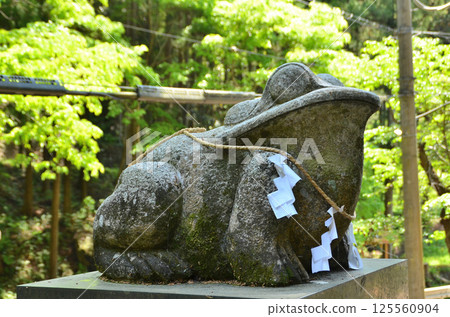 Tomemiya Shrine in Fupu, Yorii Town, Saitama Prefecture Tomemiya Shrine in Fupu, Yorii Town, Saitama Prefecture 125560904