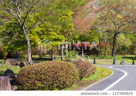 Spring Nakanojo Gardens Spring Nakanojo Gardens 125560924