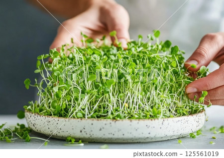 Chefs hands carefully arranging fresh microgreens on a gourmet dish in a bright kitchen setting 125561019