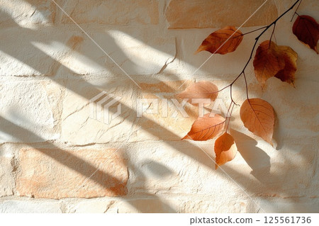 Sunlight creates delicate leaf shadows on a textured stone surface with earthy tones 125561736