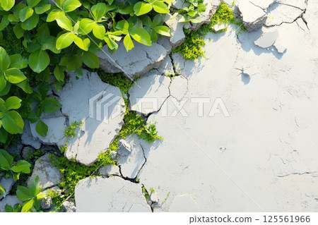 Overhead view of cracked earth with green grass sprouts in bright sunlight Overhead view of cracked earth with green grass sprouts in bright sunlight 125561966