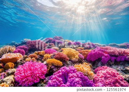 Vibrant coral reef textures illuminated by sunlight from above in clear blue water 125561974