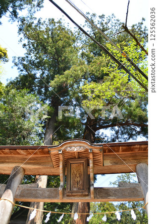 埼玉縣寄居町富府富宮神社鳥居 埼玉縣寄居町富府富宮神社鳥居 125562036