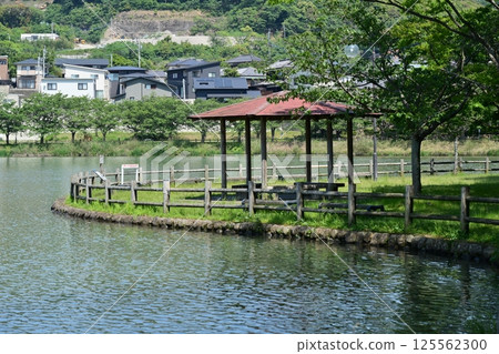 池田湖公園（長崎縣大村市） 125562300