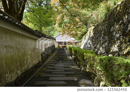 善寶寺：阿彌陀堂參道（京都市西京區） 125562450