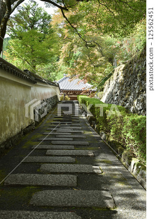 善寶寺：阿彌陀堂參道（京都市西京區） 125562451