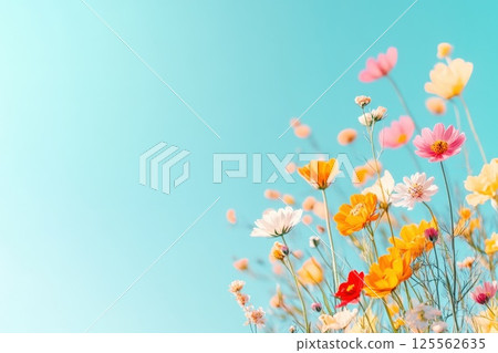 Colorful wildflowers bloom under clear blue sky in bright natural light Colorful wildflowers bloom under clear blue sky in bright natural light 125562635