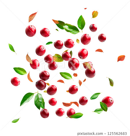 Falling cranberries with green and autumn leaves isolated on a transparent background. Red glossy berries and scattered foliage in floating composition for food, packaging, and design projects. 125562683