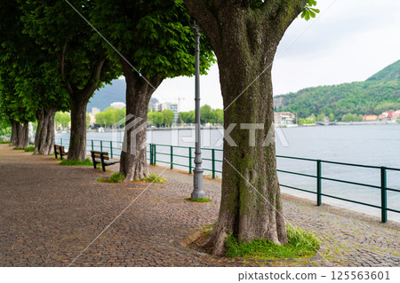 Tree-Lined Lakeside Promenade with Benches and Water View Tree-Lined Lakeside Promenade with Benches and Water View 125563601