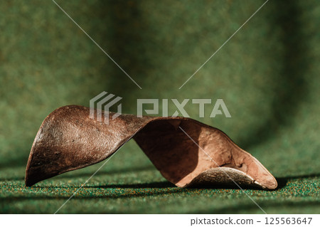 Curved Piece of Natural Bark on Green Background 125563647