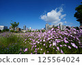 Flowers and park 125564024