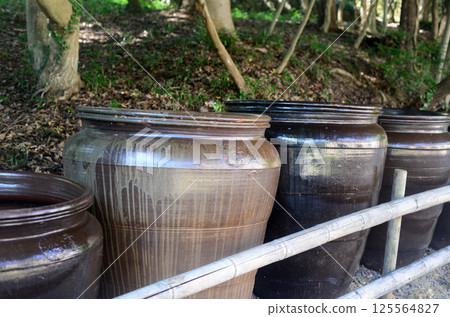 Otani ware water bottle from Shikokumura 125564827