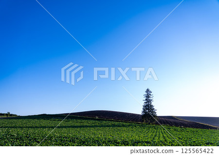 藍天和青山 藍天和青山 125565422