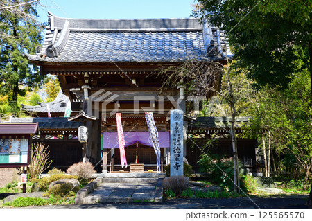 Henmyoin Tokuseiji Temple Ageo City 125565570