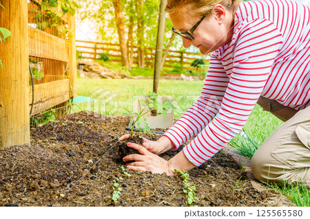 Spring planting 125565580