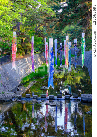 Carp streamers reflected on the surface of the river at Shukugawa Park 125565695