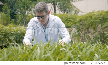 Biotechnology man engineer examining plant leaf for disease, Professional researcher agriculture scientist working to organic vegetable plant in greenhouse, analyze research quality 125565774