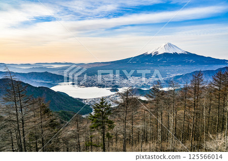 山梨縣河口湖和富士山 125566014