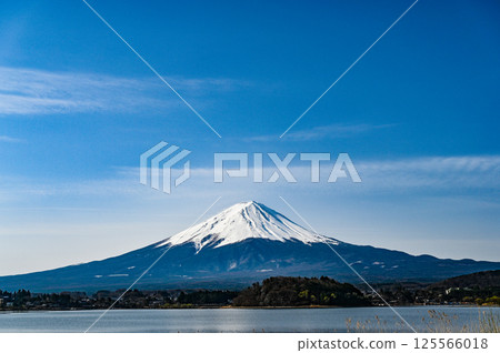 Lake Kawaguchi and Mount Fuji in Yamanashi Prefecture 125566018