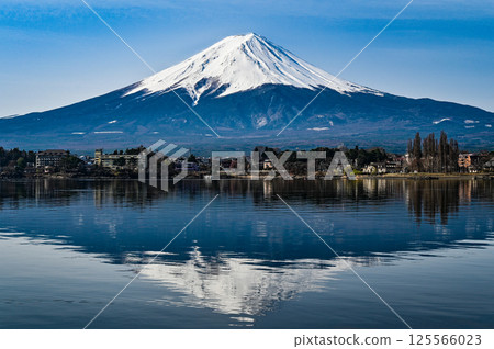 Lake Kawaguchi and Mount Fuji in Yamanashi Prefecture 125566023