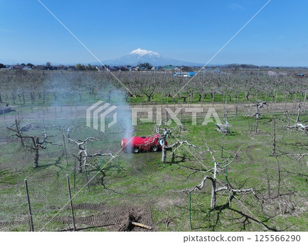 Apple farm Apple farm 125566290