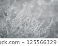 柔和光線包裹的植物的抽象表現 125566329