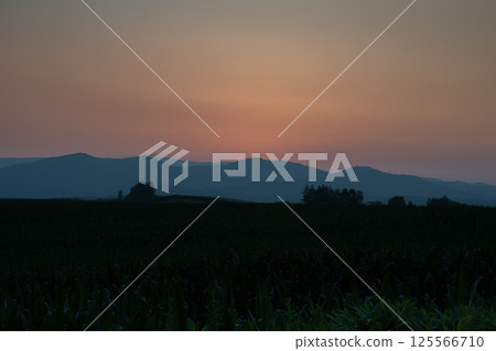 Beautiful sunset sky and hills in summer 125566710