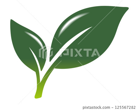 葉子圖示簡單光澤抹茶綠色 125567282