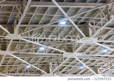 Gym ceiling 125567315