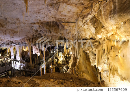 [南大東島] 星野洞窟（鐘乳洞） 125567609