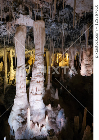 [南大東島] 星野洞窟（鐘乳洞） 125567610